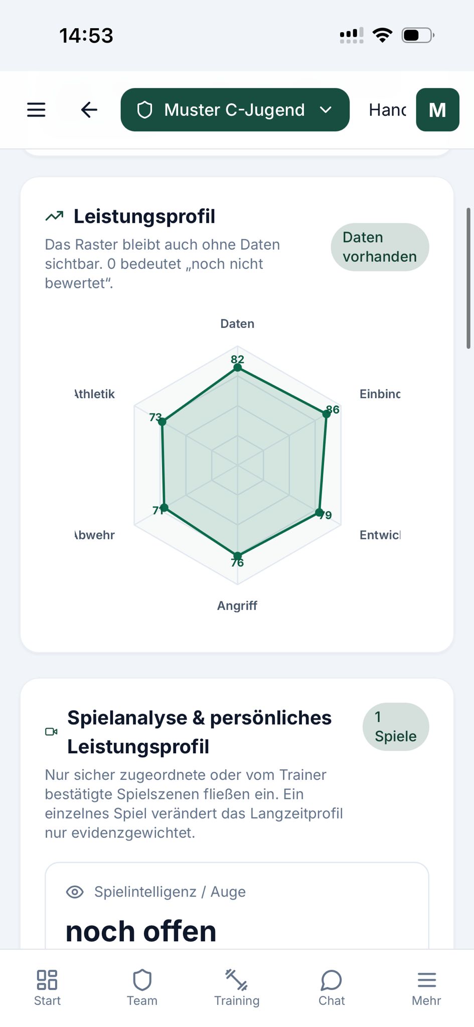 HandballLab Leistungsprofil mit Radaransicht und Spielanalyse aus Musterdaten